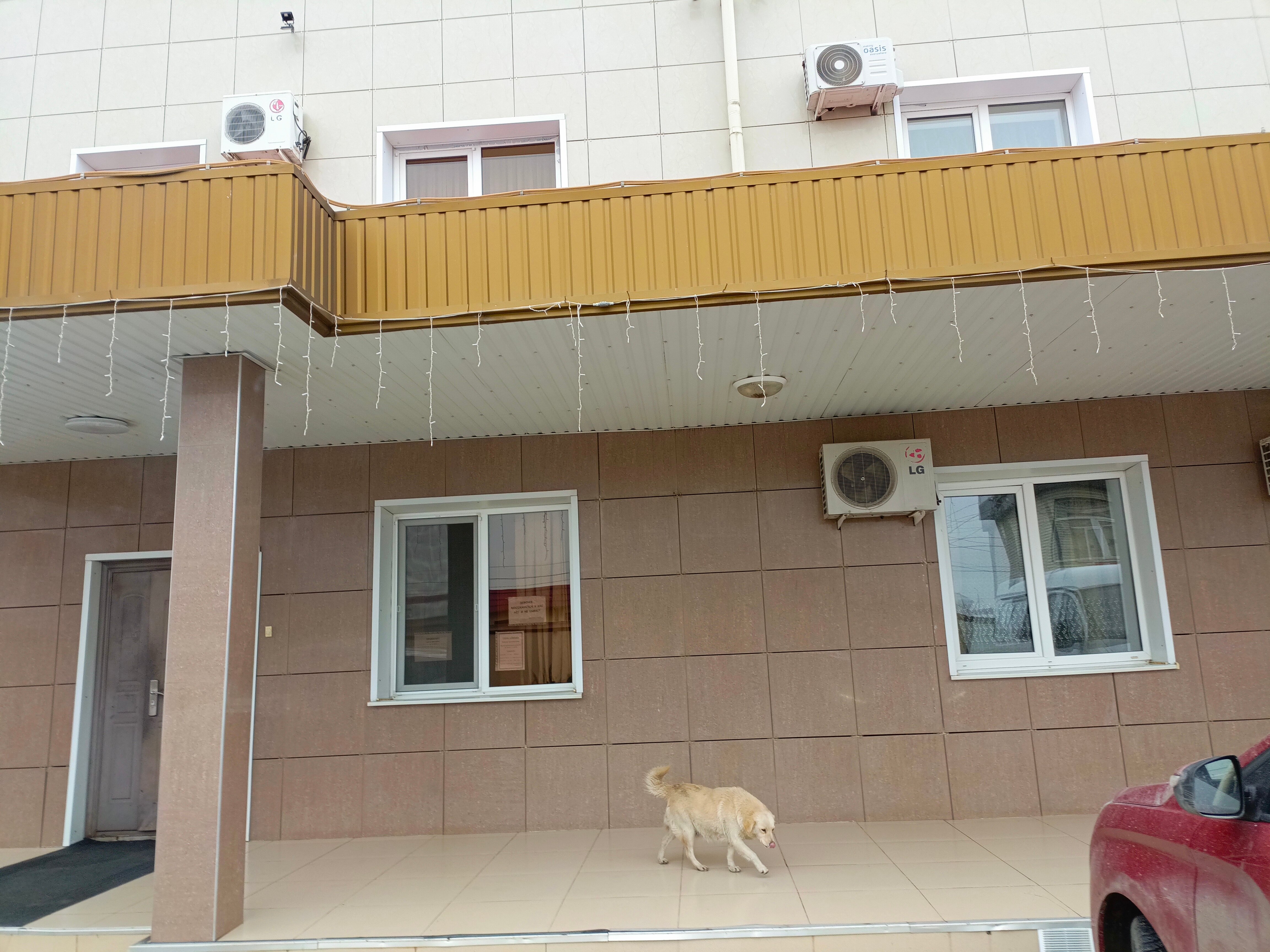 Фото Дарьял