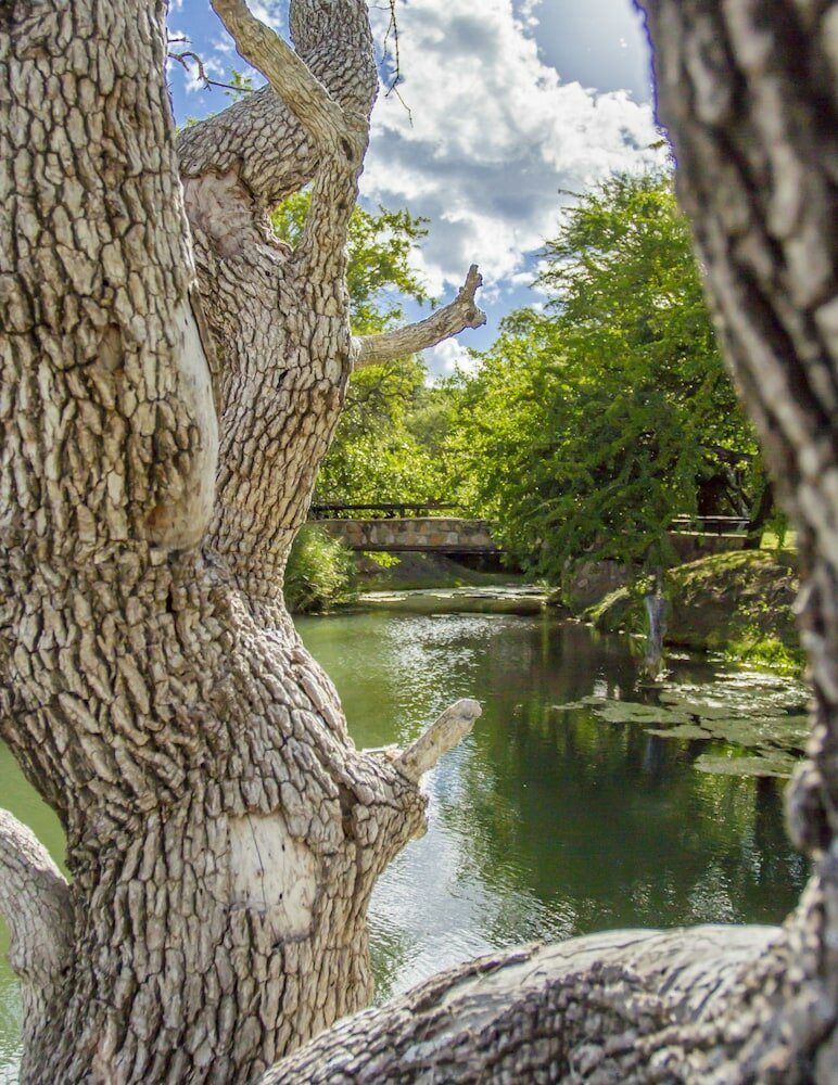 Фото LittleBush Private Lodge