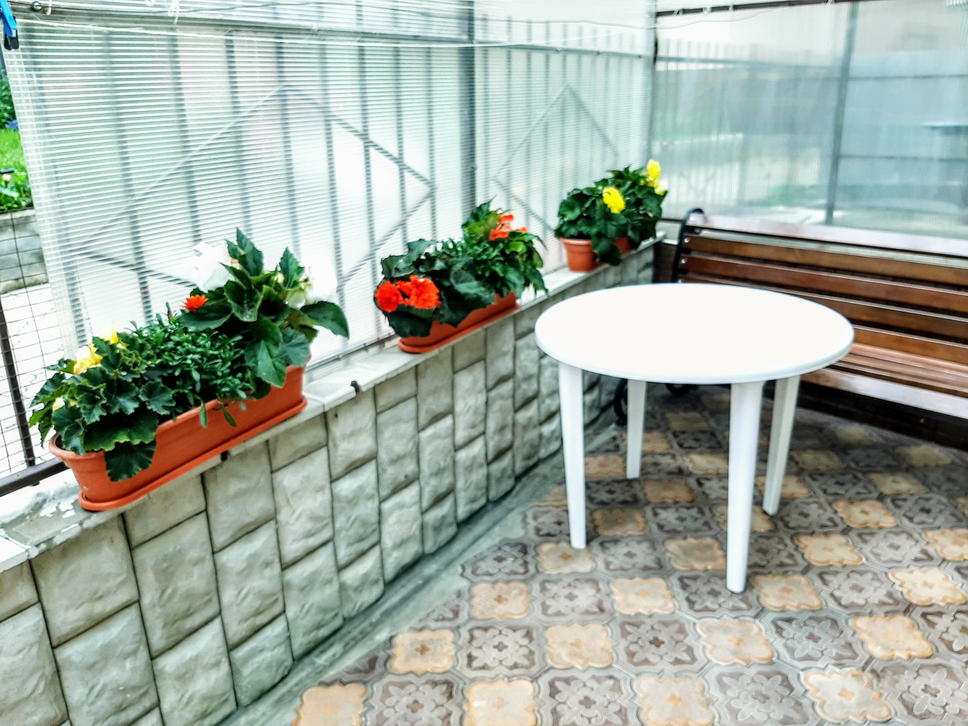 Фото Уютная