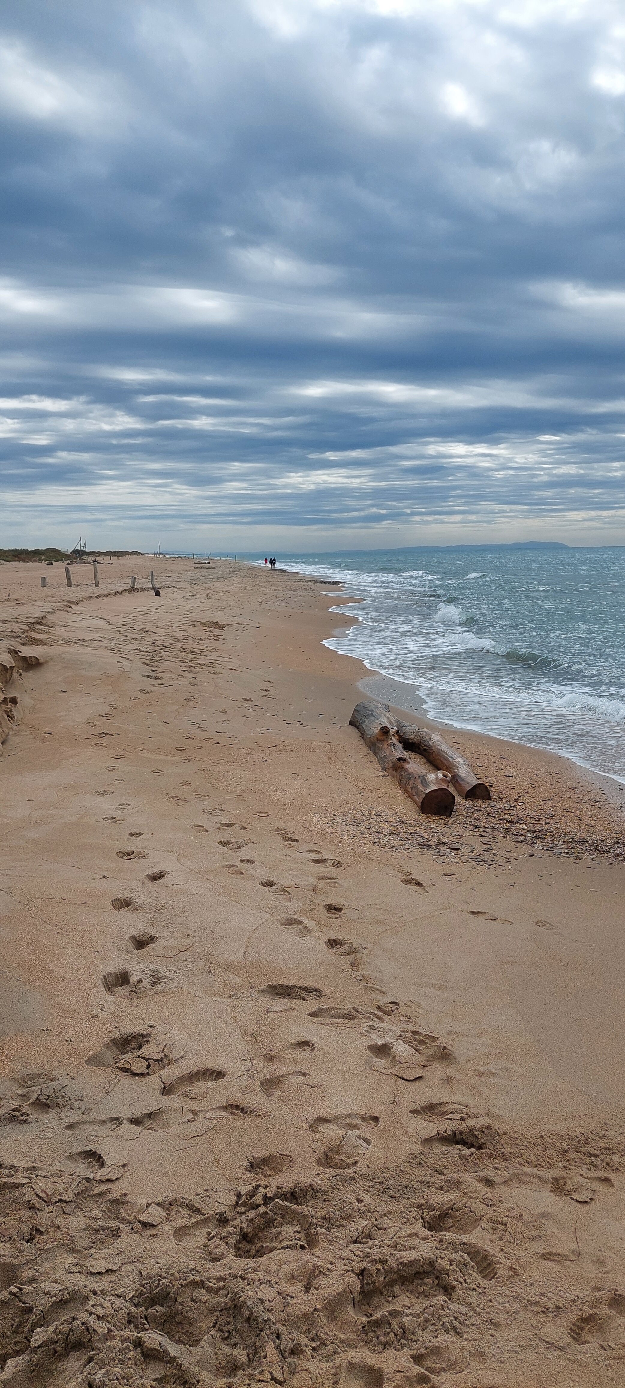 Фото Фридом