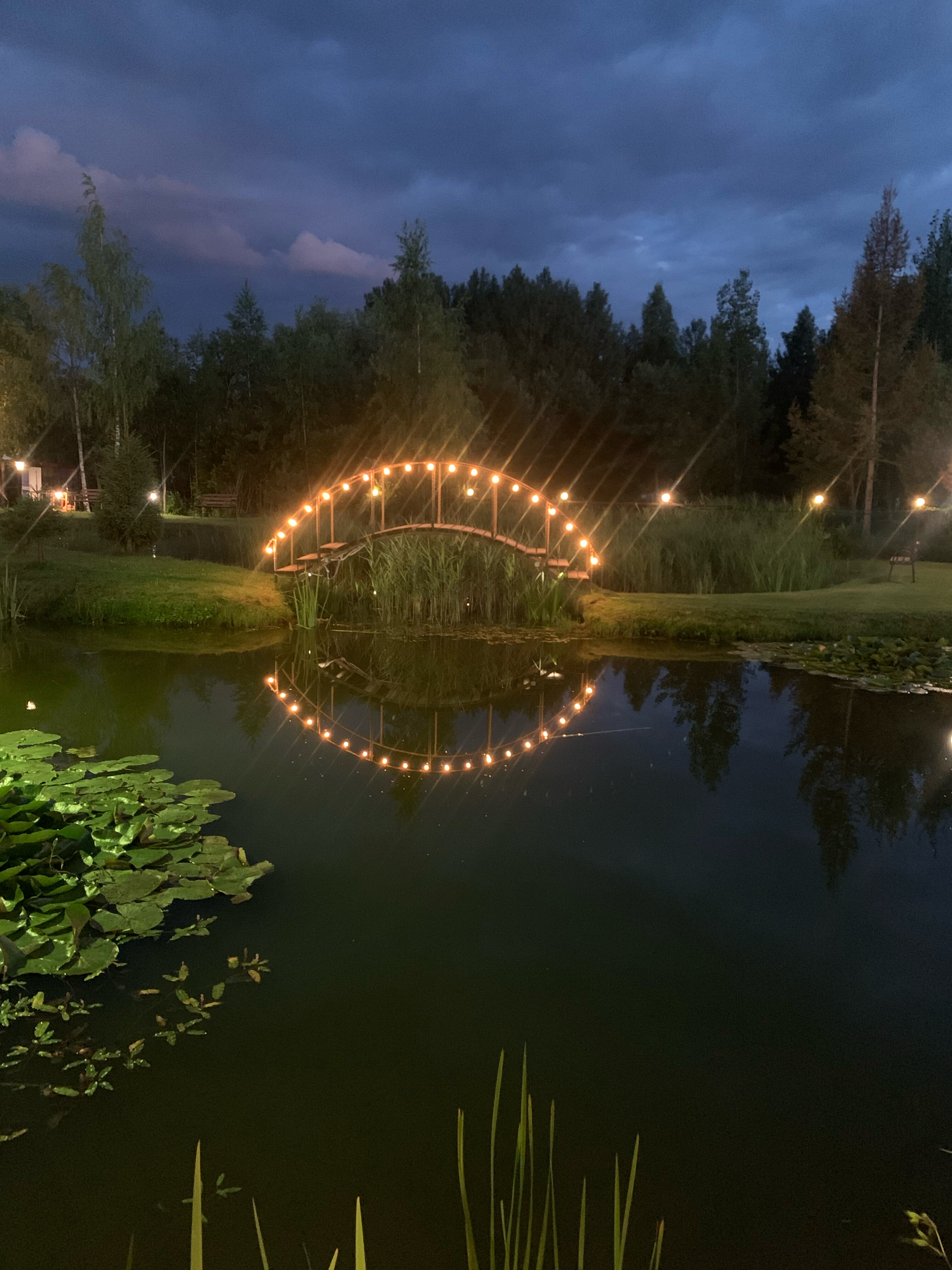 Фото Моисеевичи Life