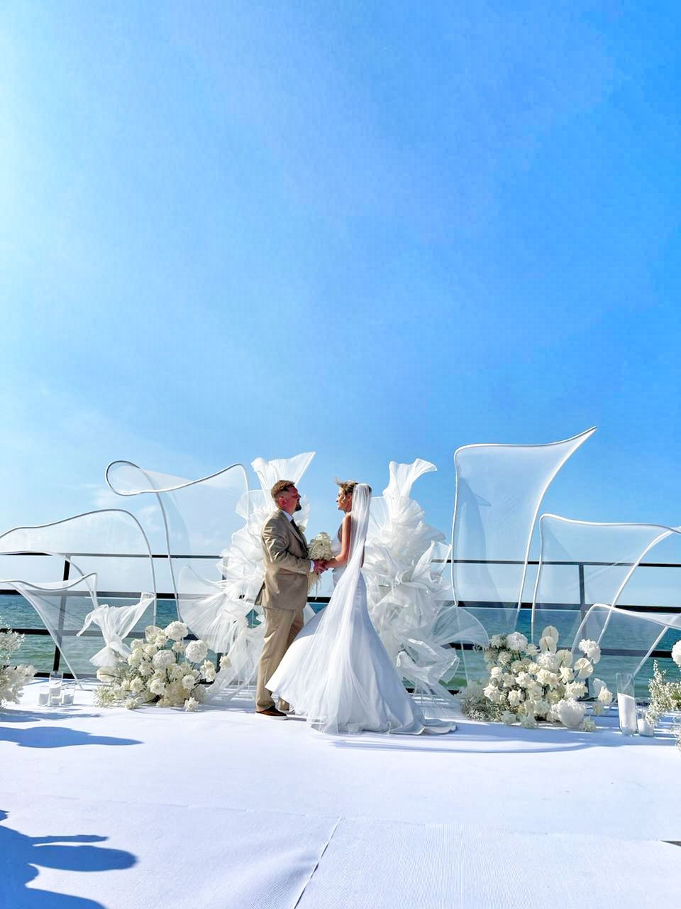 Фото Малина