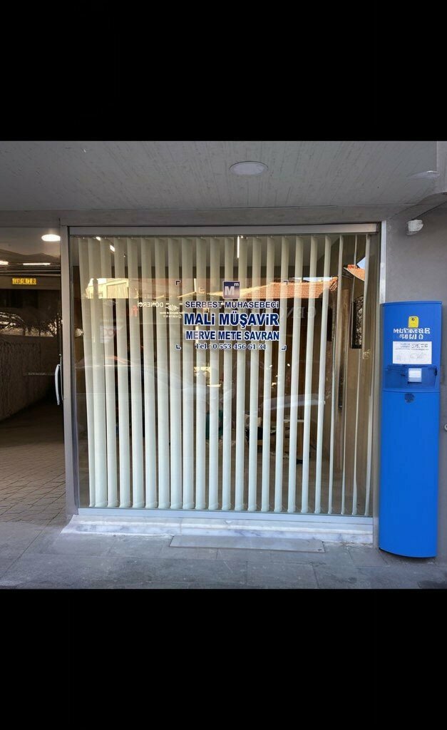 Audit company Merve Mete Savran Mali Müşavirlik, Alasehir, photo