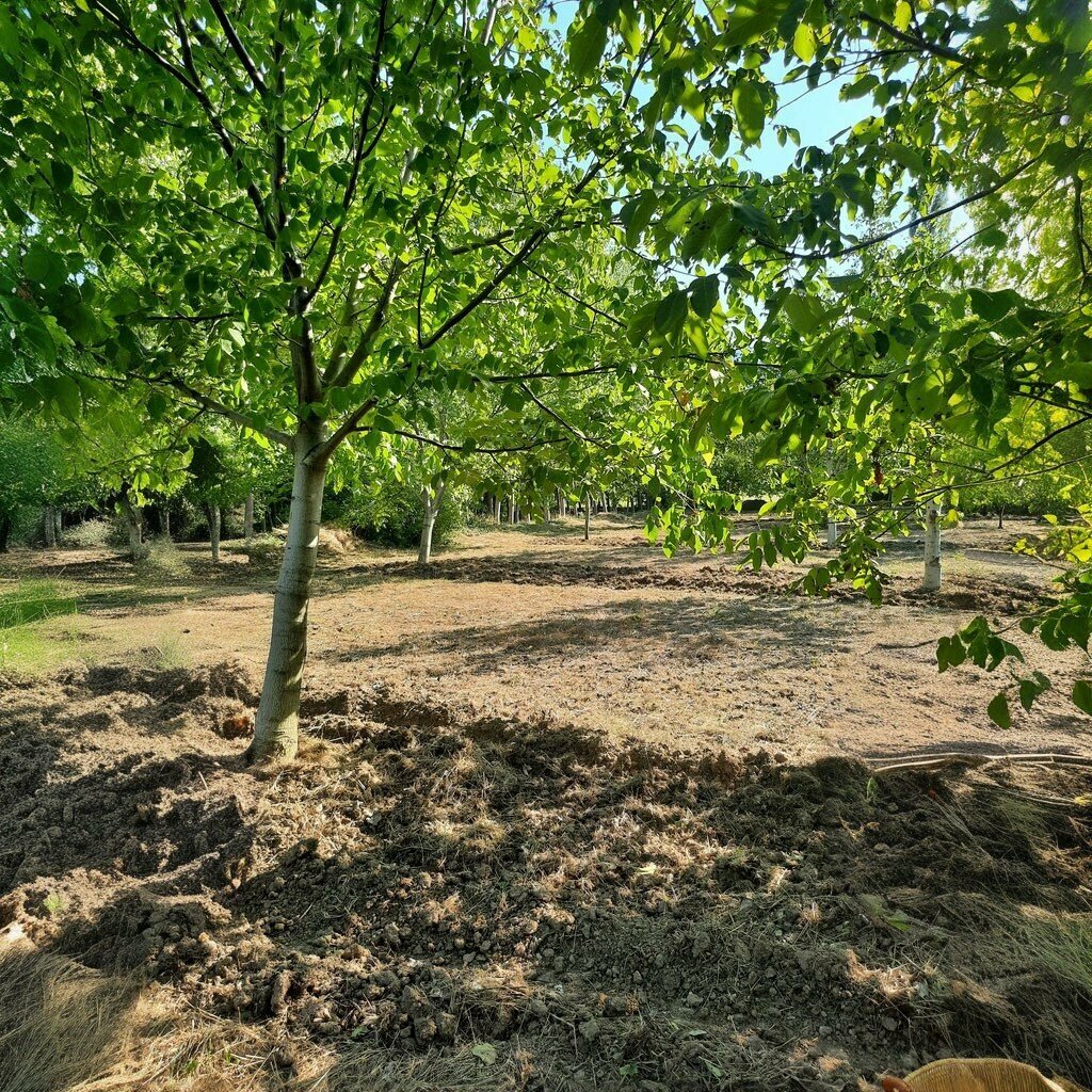 School Yesilbaskoy Secondary School, Aglasun, photo