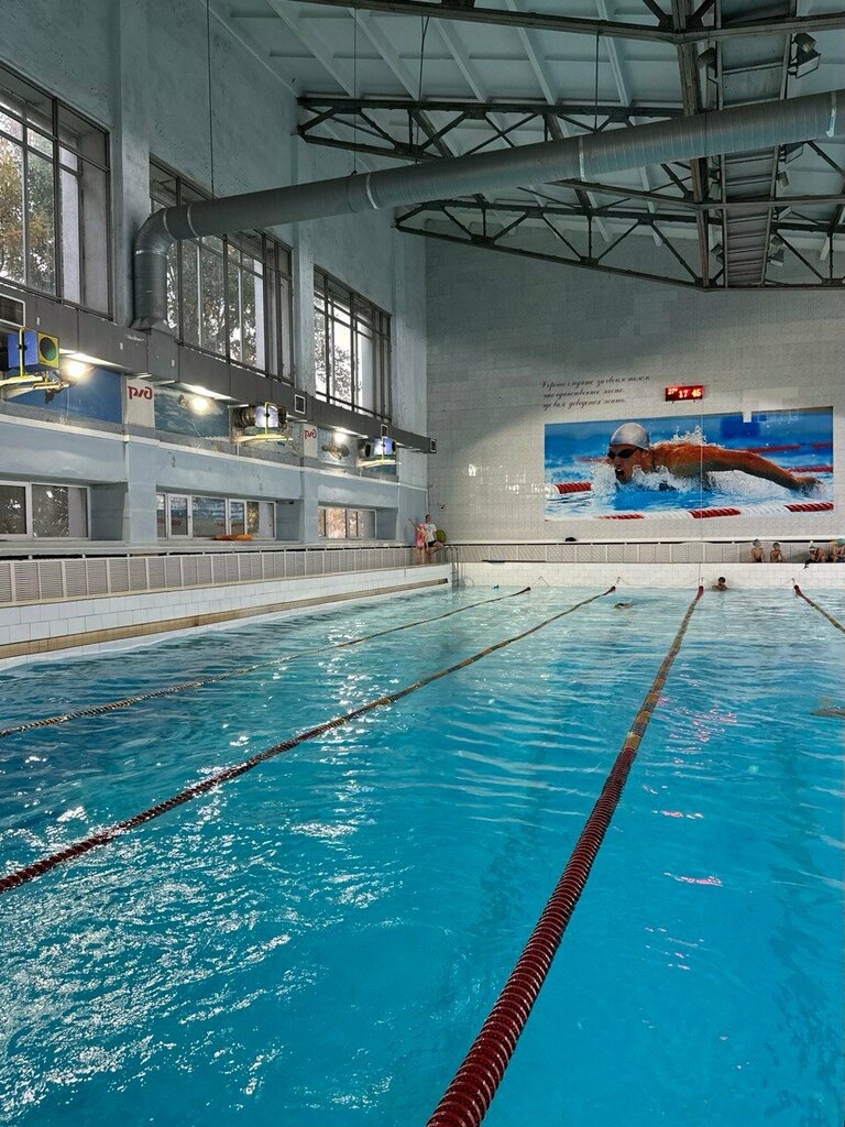Escuela de natación Alexander Kudashev Swimming Academy, , foto