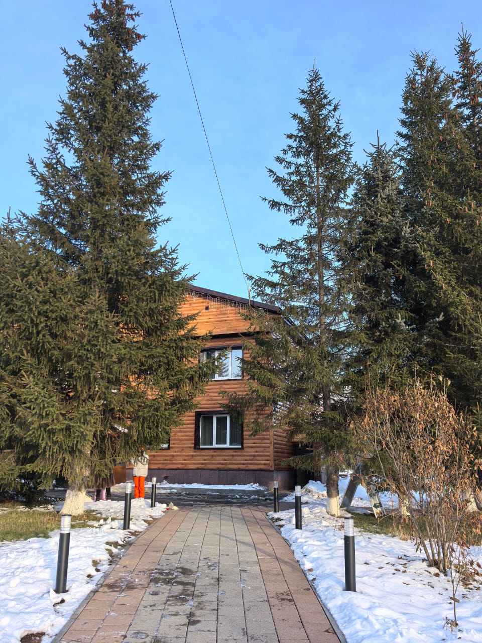 Фото Кречет