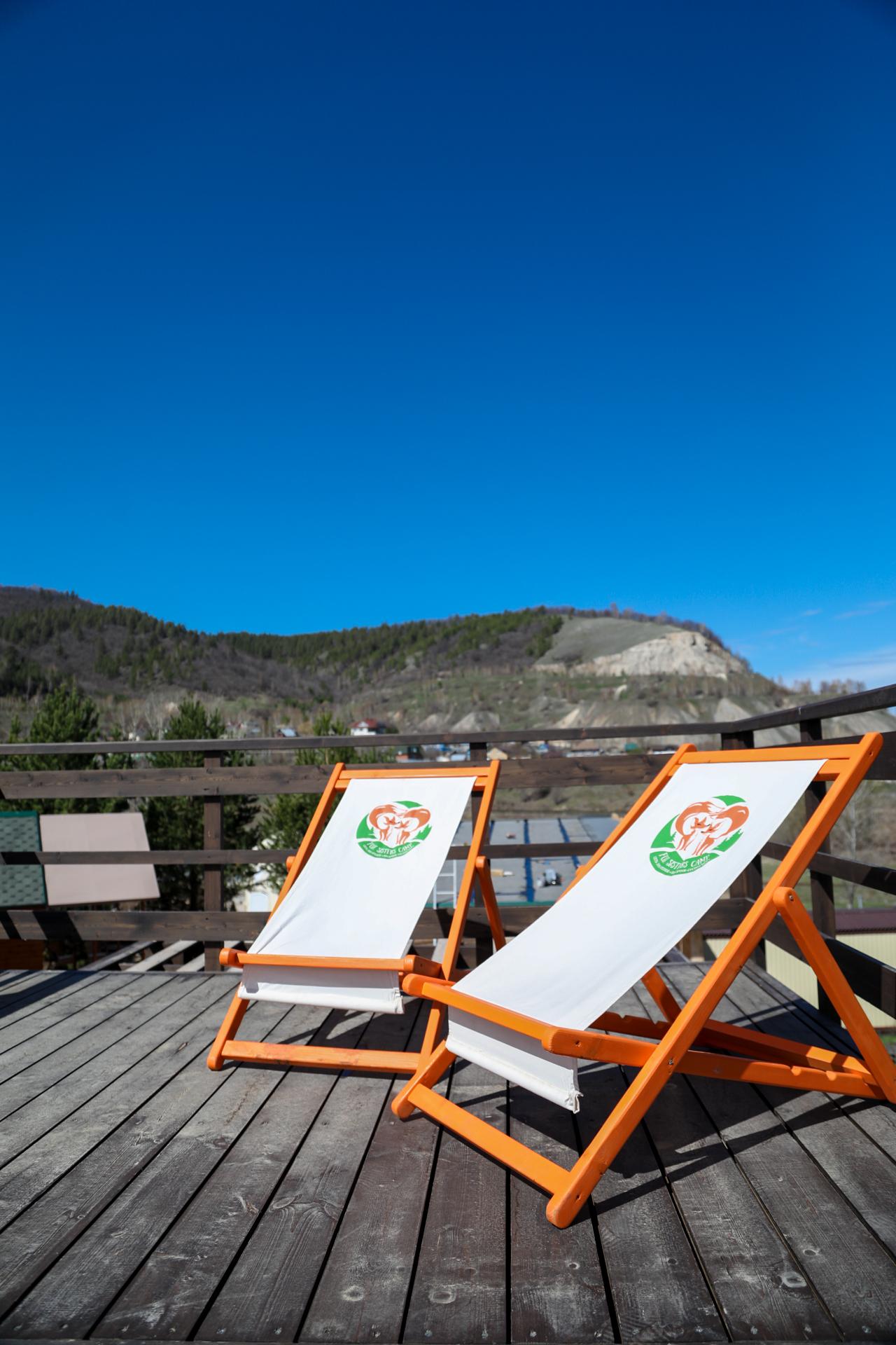 Фото Лисички-сестрички