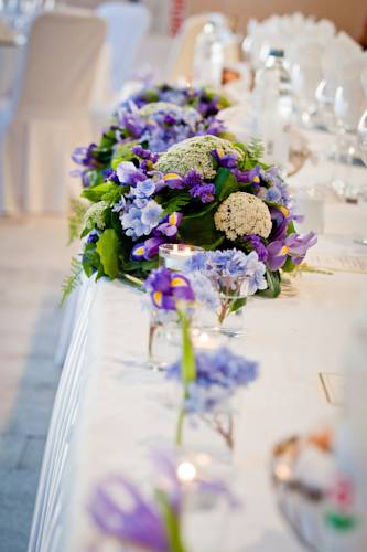 Фото Hotel Royal Neptun