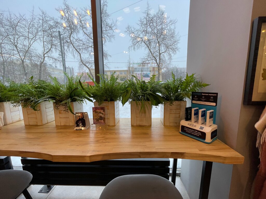 Power bank rental Chargex, Murmansk, photo