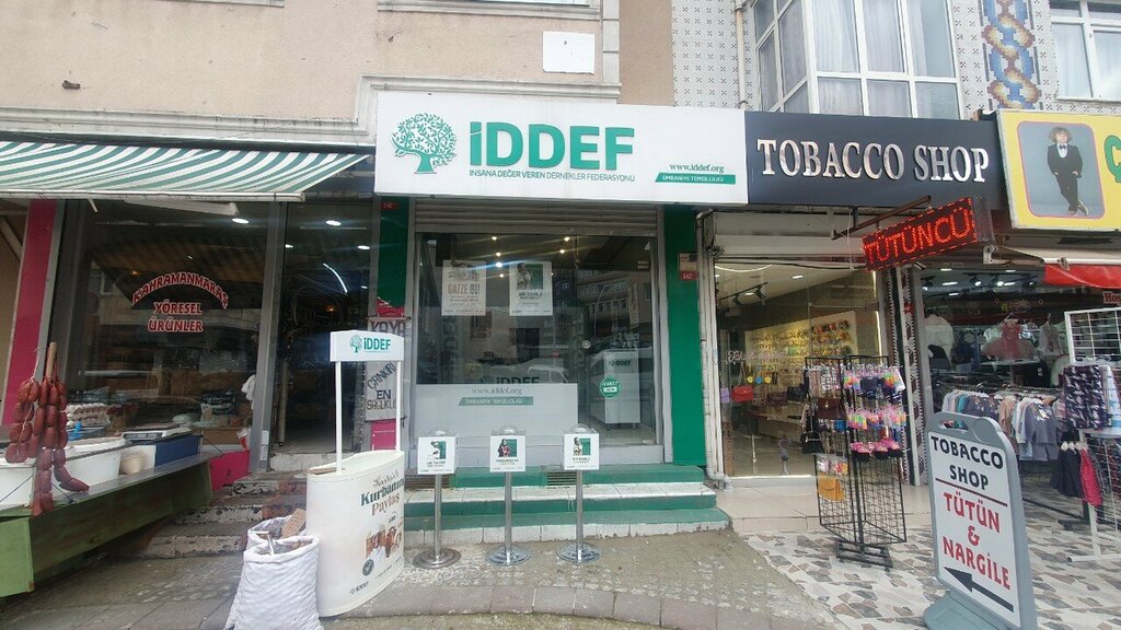 Environmental organization Iddef, Istanbul, photo