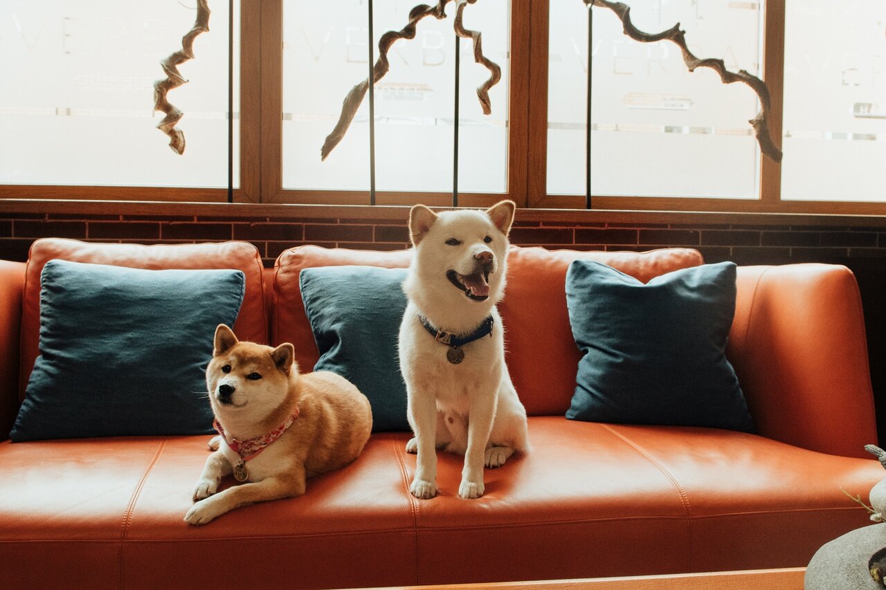 Фото Azimut Сити Отель Хабаровск