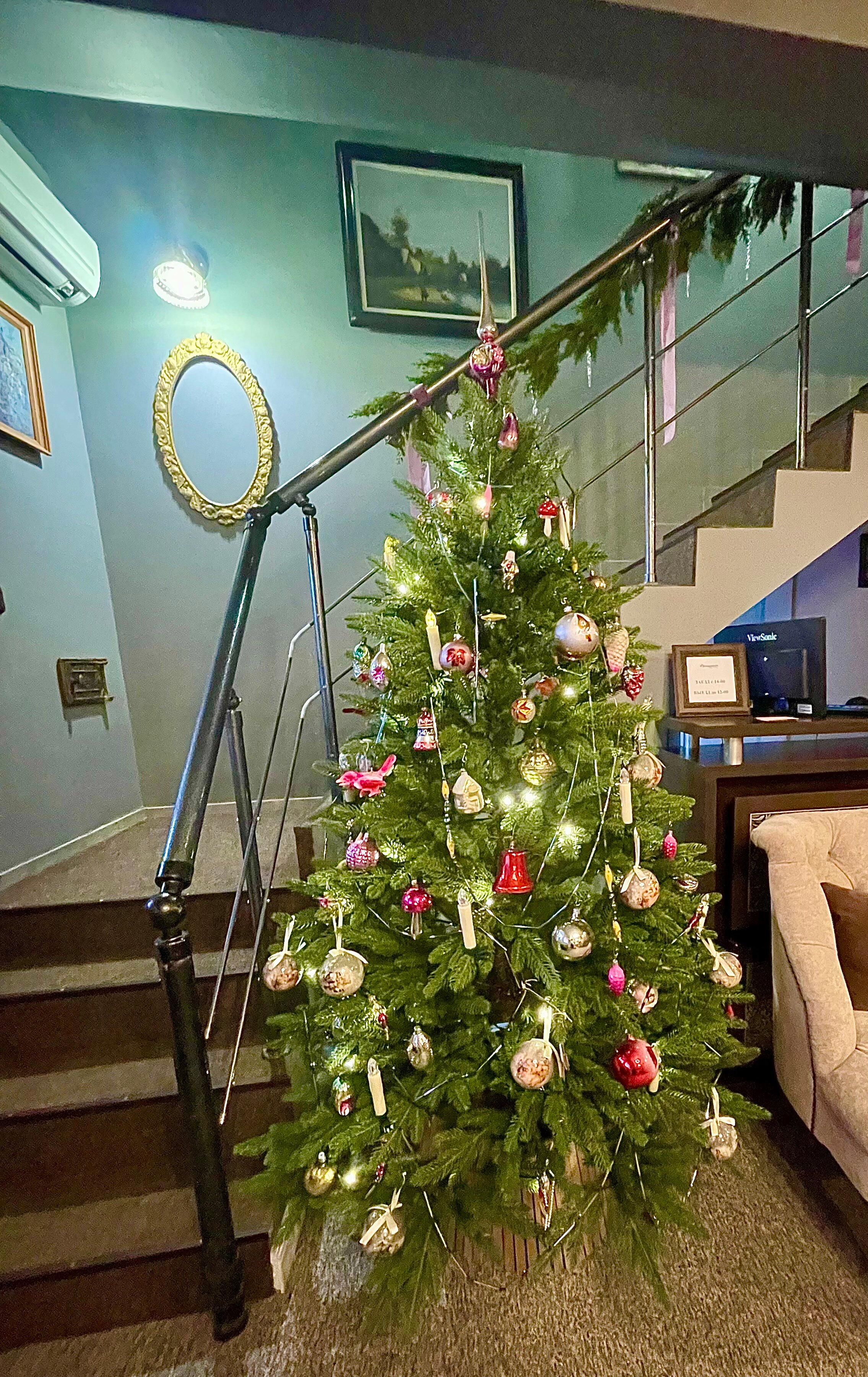 Фото Плюшкин