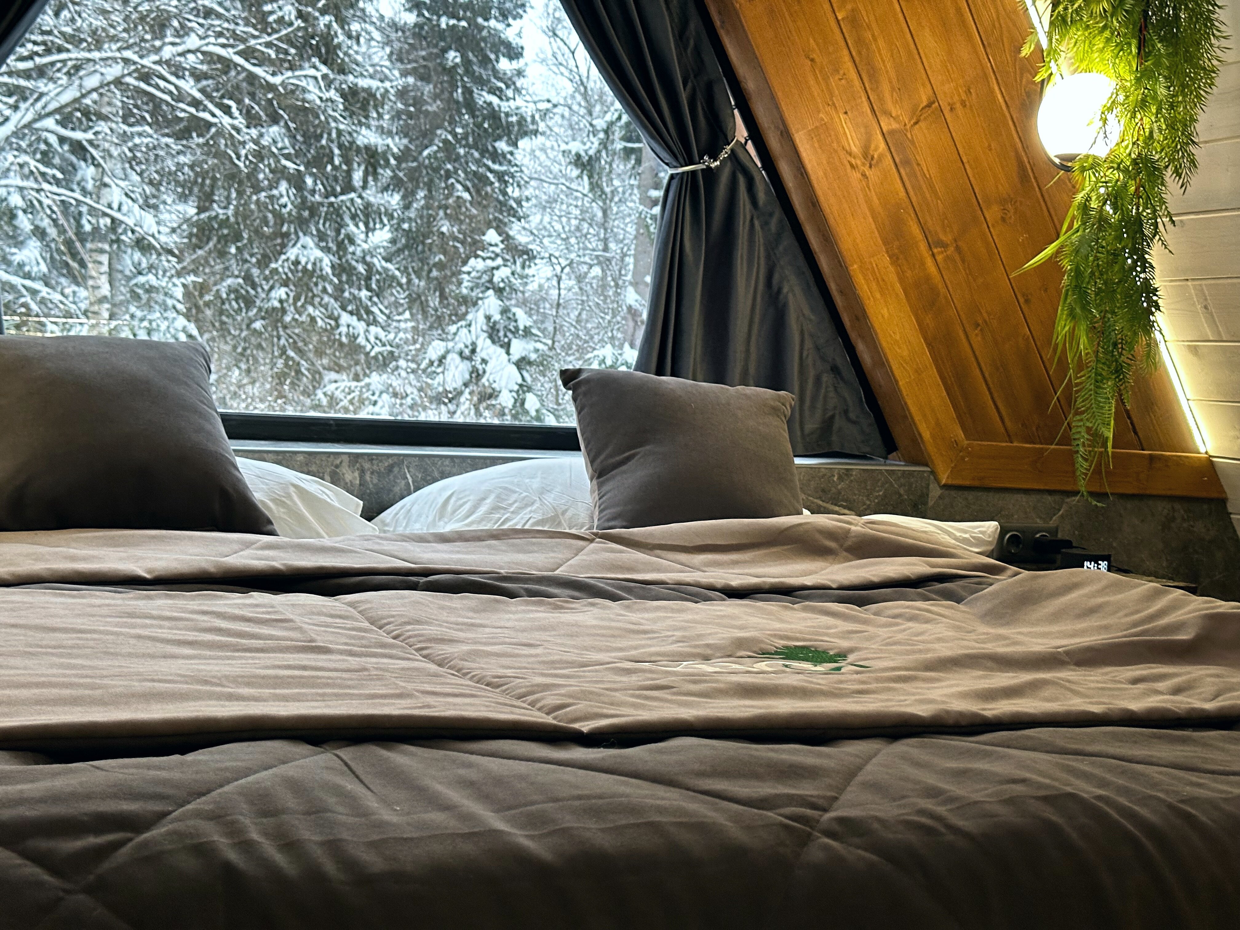 Фото Хвоя Secret Place