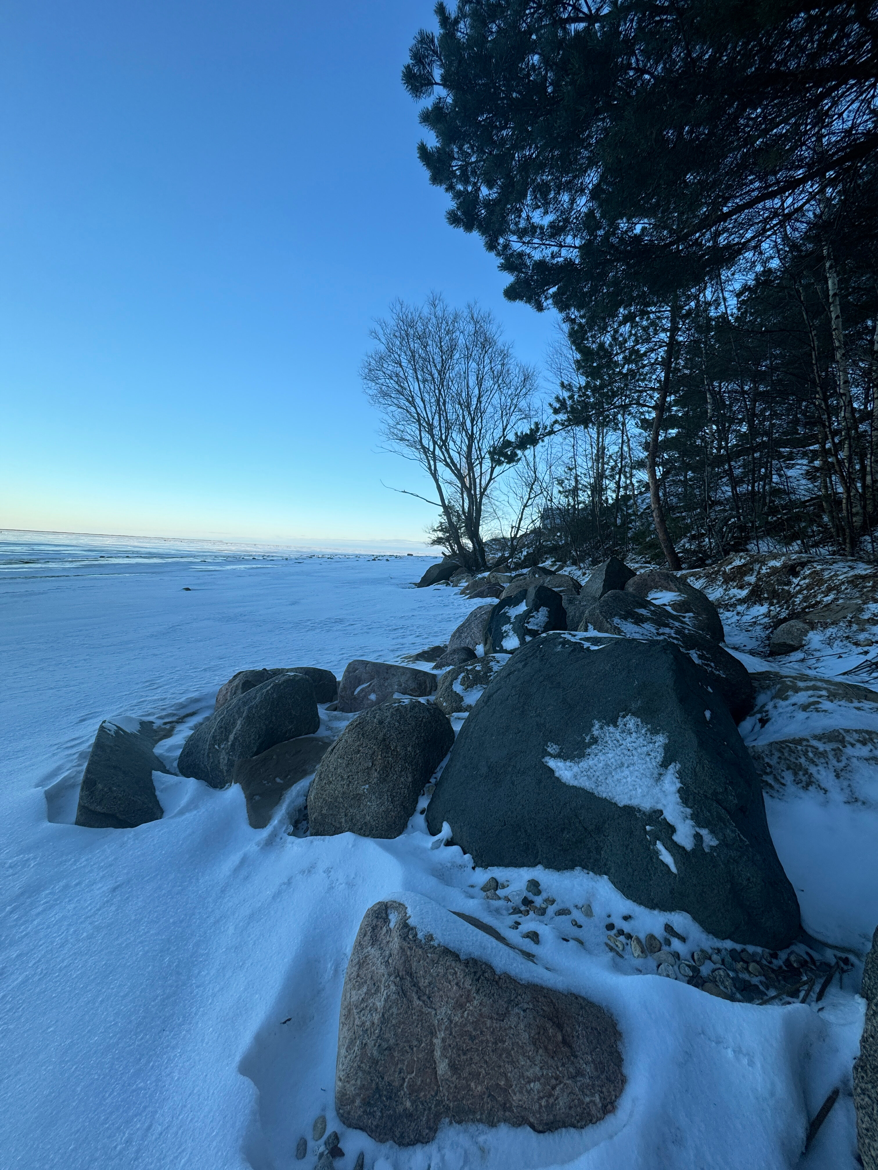 Фото Мини-отель Легково