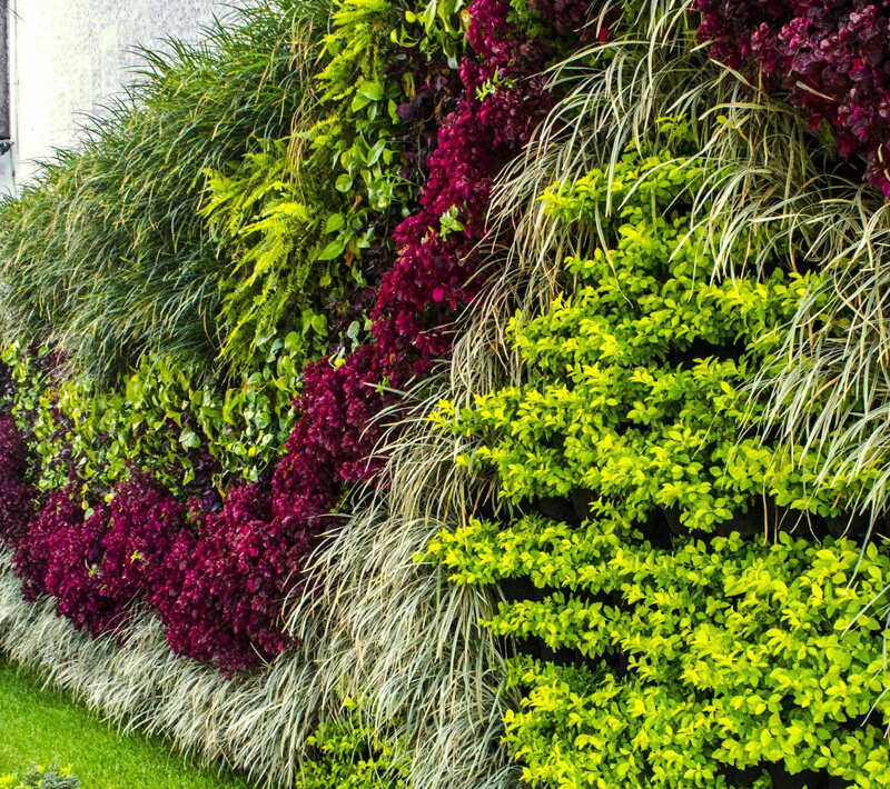 Flower shop Jardin Exotico, Santa Cruz de la Sierra, photo