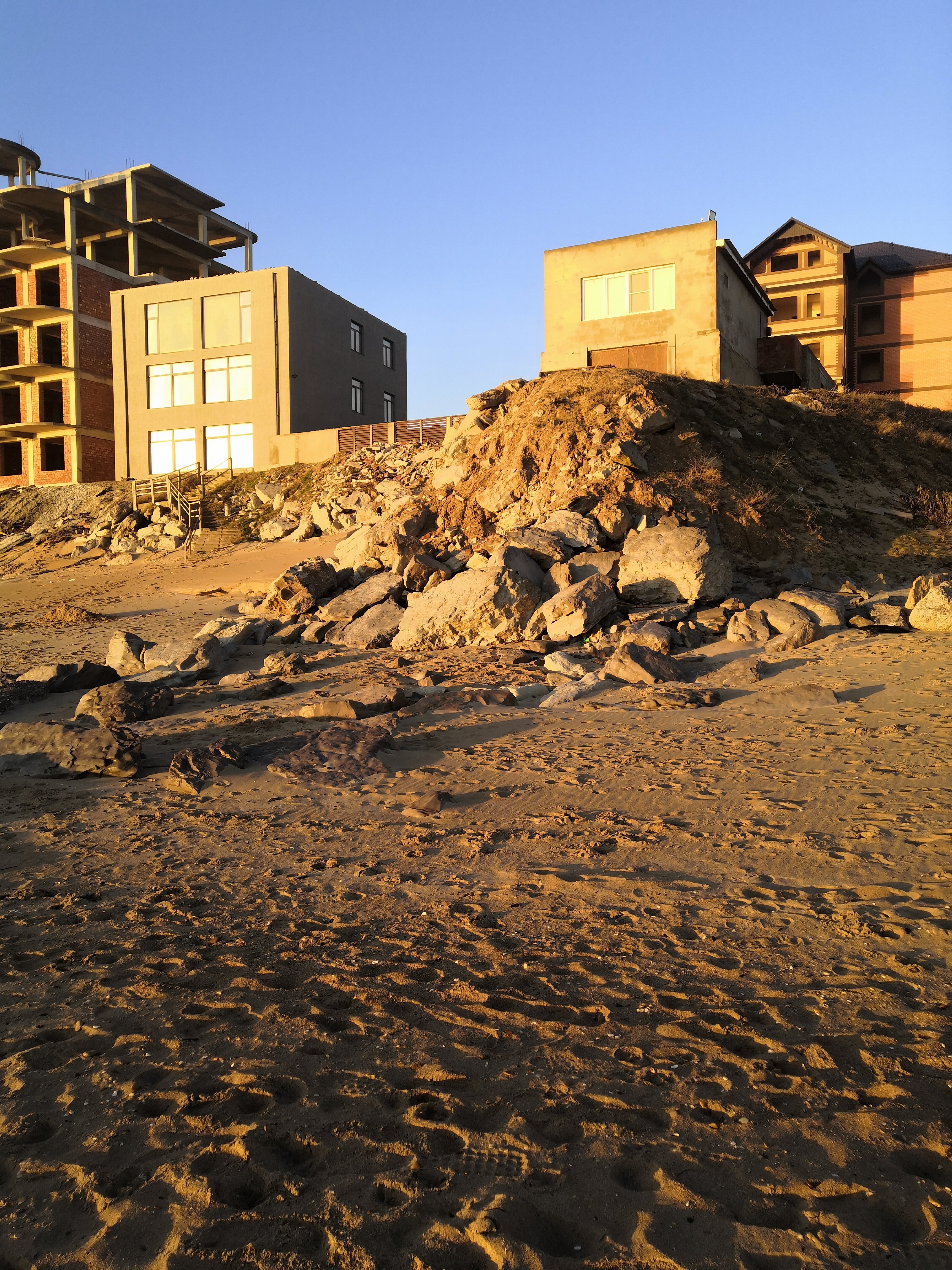 Фото Фламинго