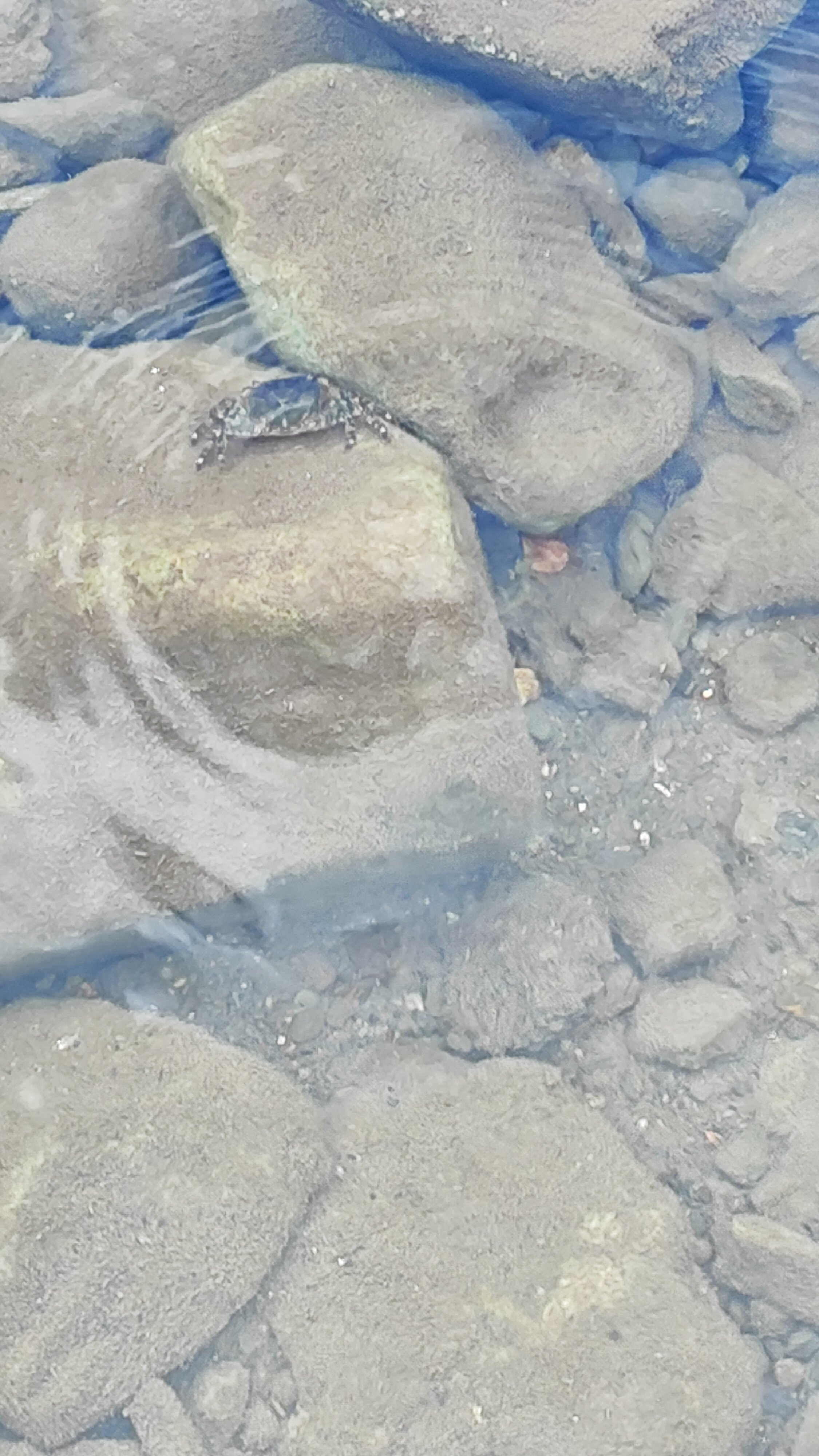 Фото Легенда