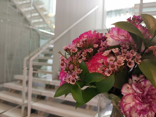Гостиница Hotel Boutique Caireles в Кордове