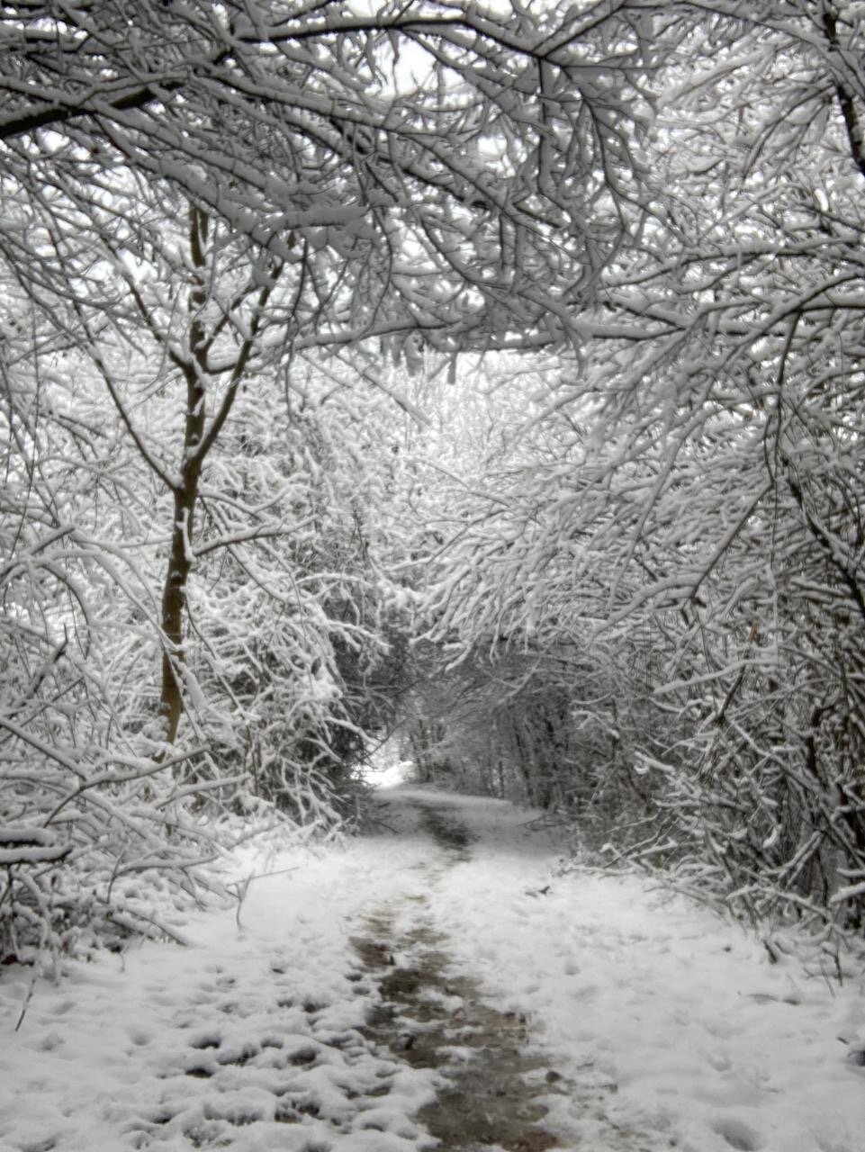 Фото Арт Изба