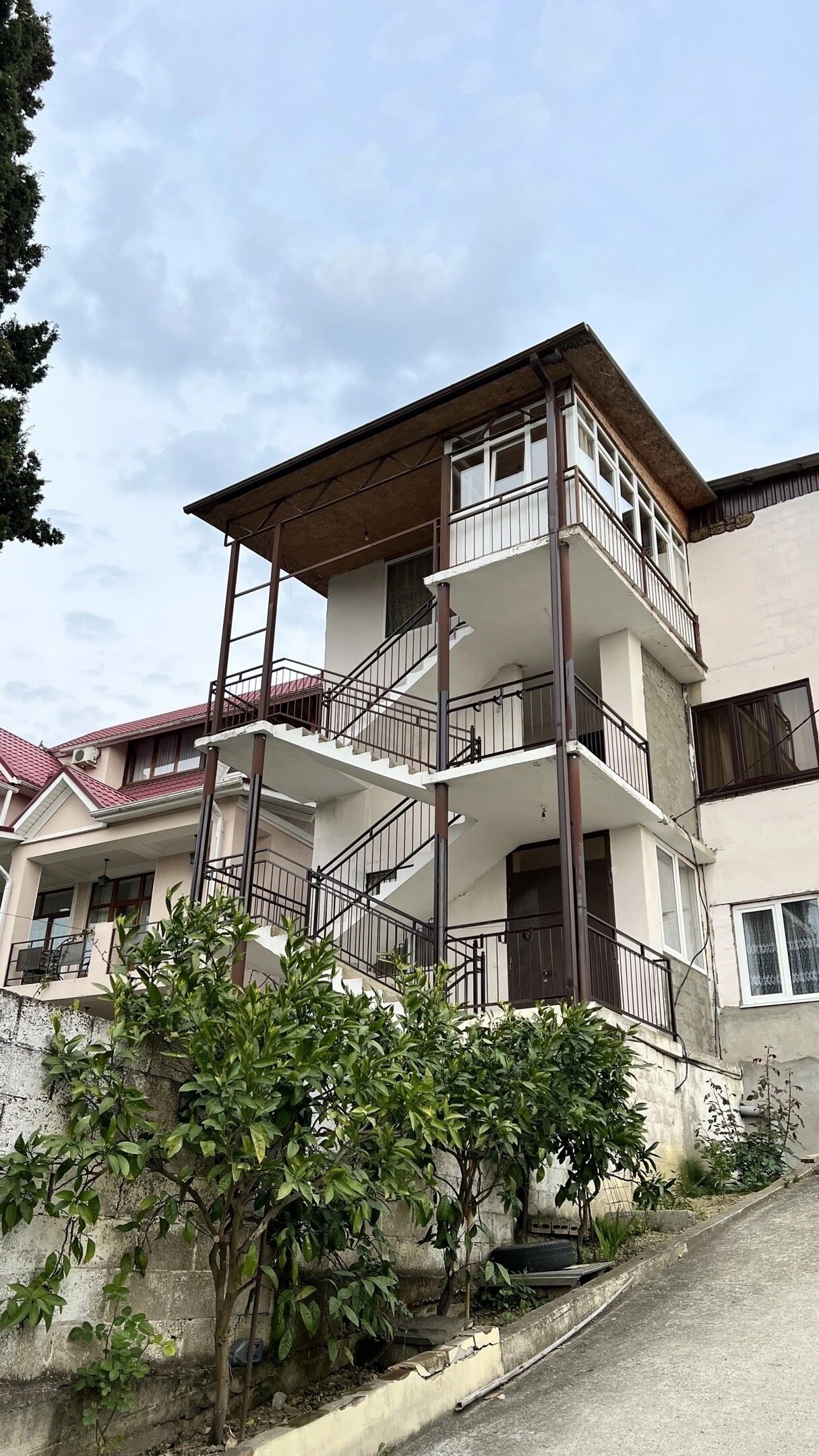 Фото Миндаль