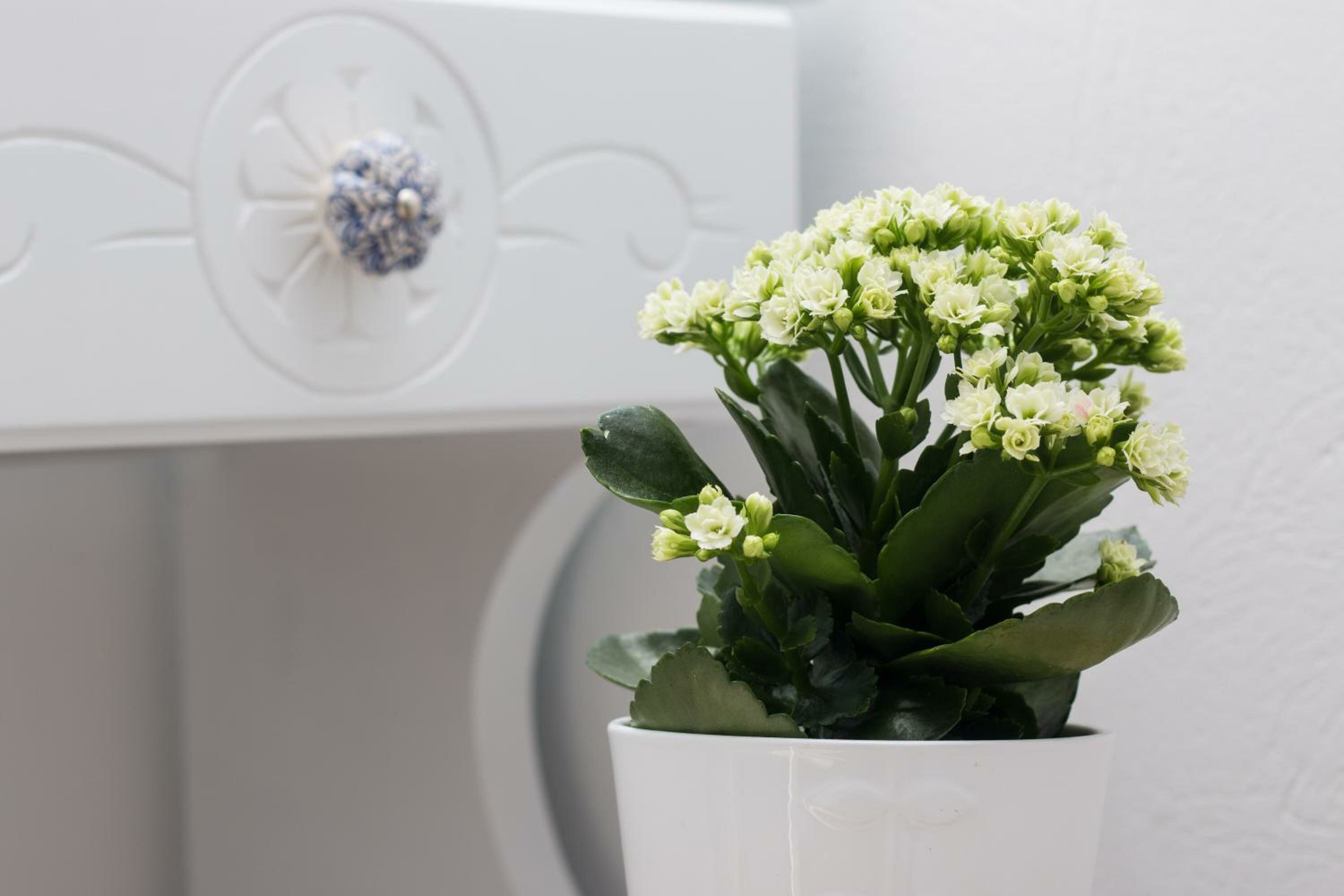 Фото Ktima Bianco