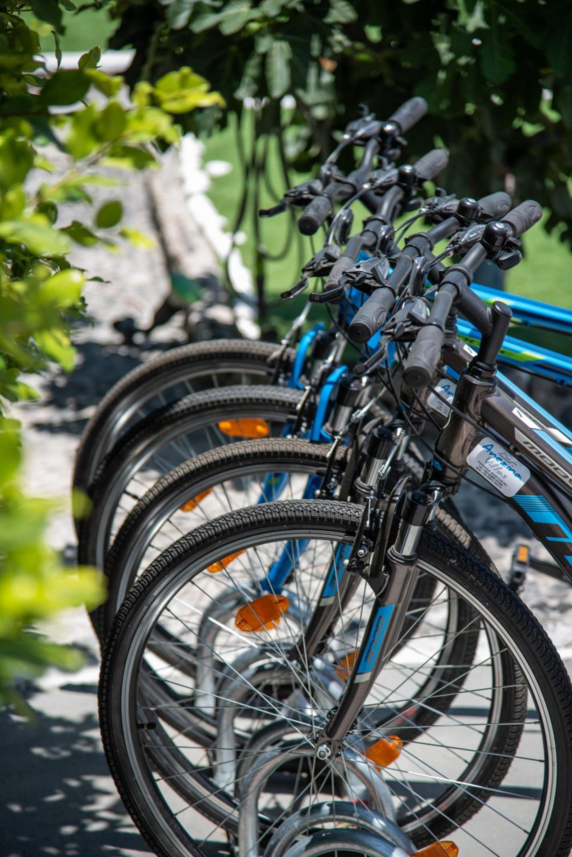 Фото Anezina Villas