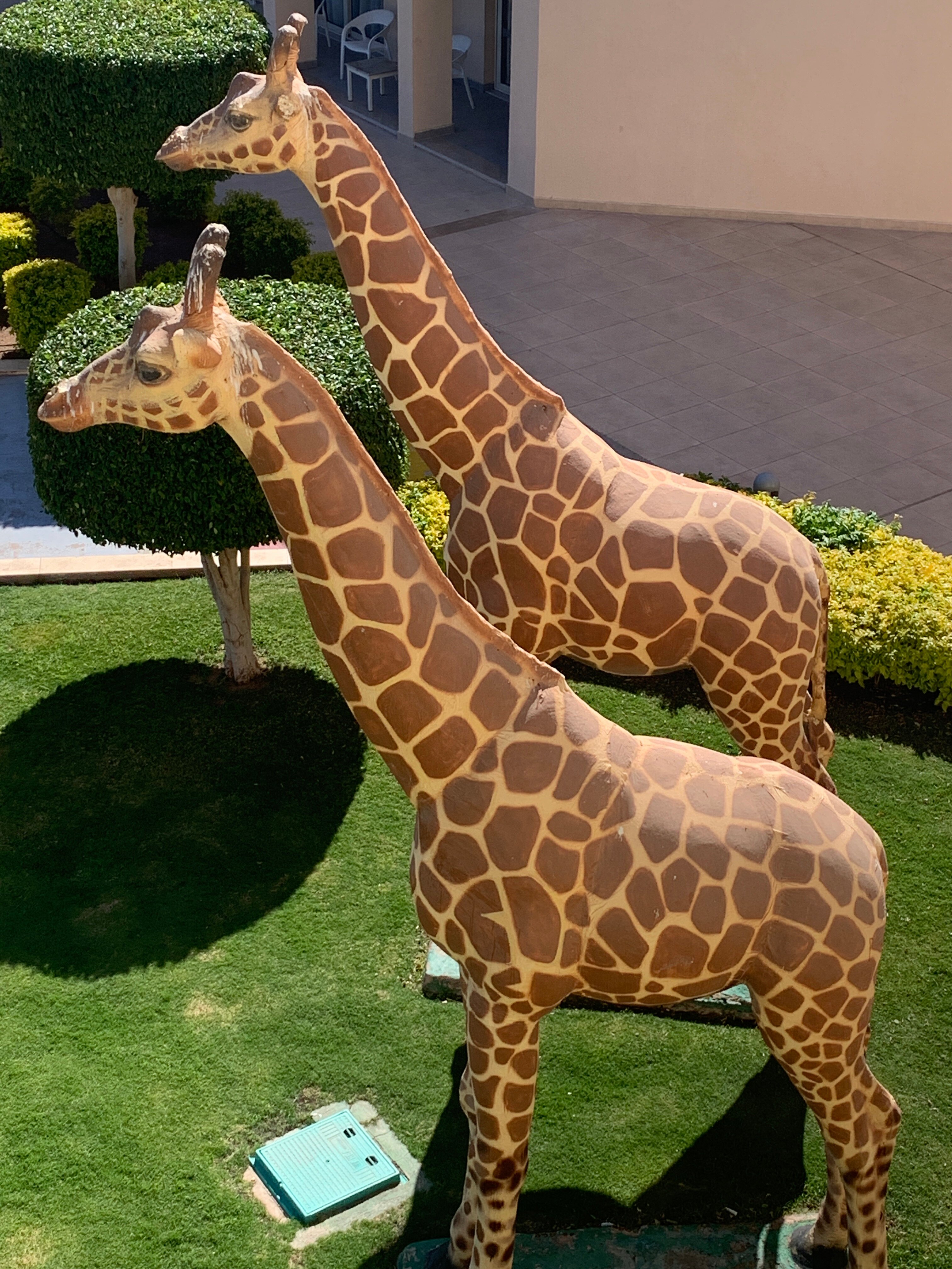 Фото Pickalbatros Royal Moderna Resort