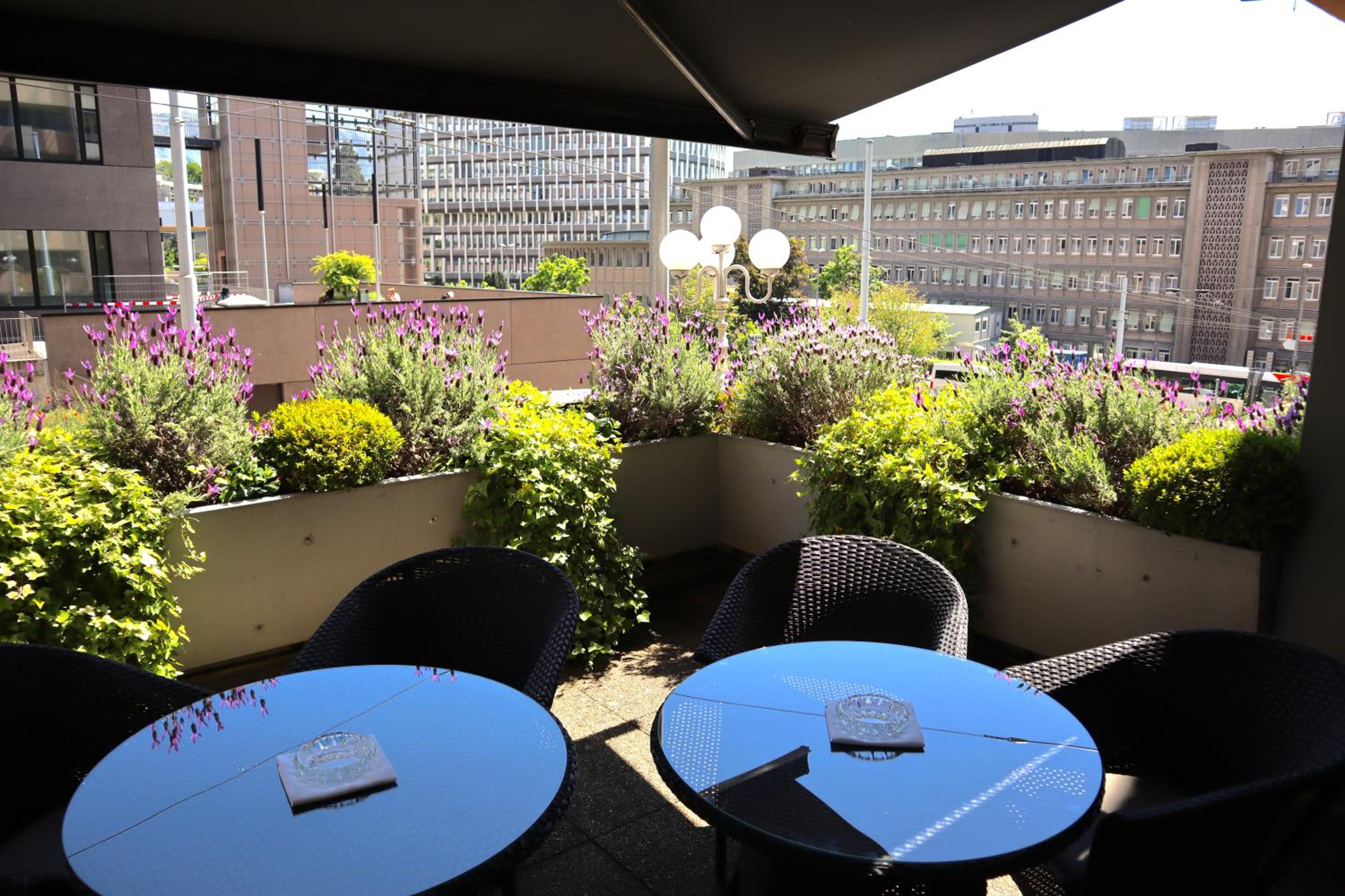 Фото Hotel Adriatica