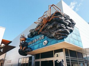 Гостиница Hotel Trend Numazu Ekimae