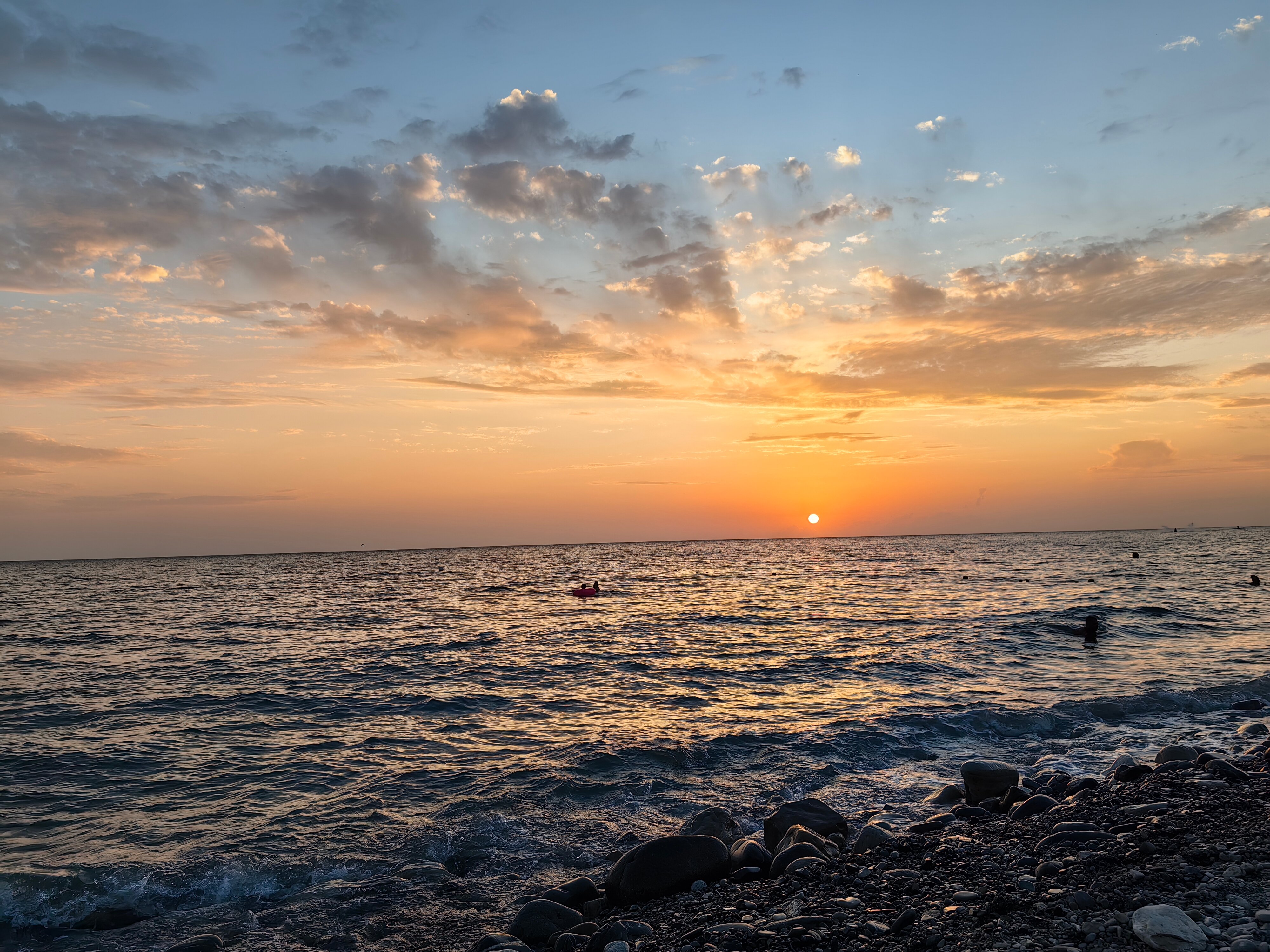 Фото Ариода