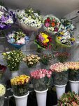 Mir Tsvetov (Lenina Street, 28), floristeria