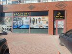 Lady Dry (Ankara Province, Altındag District, Green Belt Avenue), dry cleaning