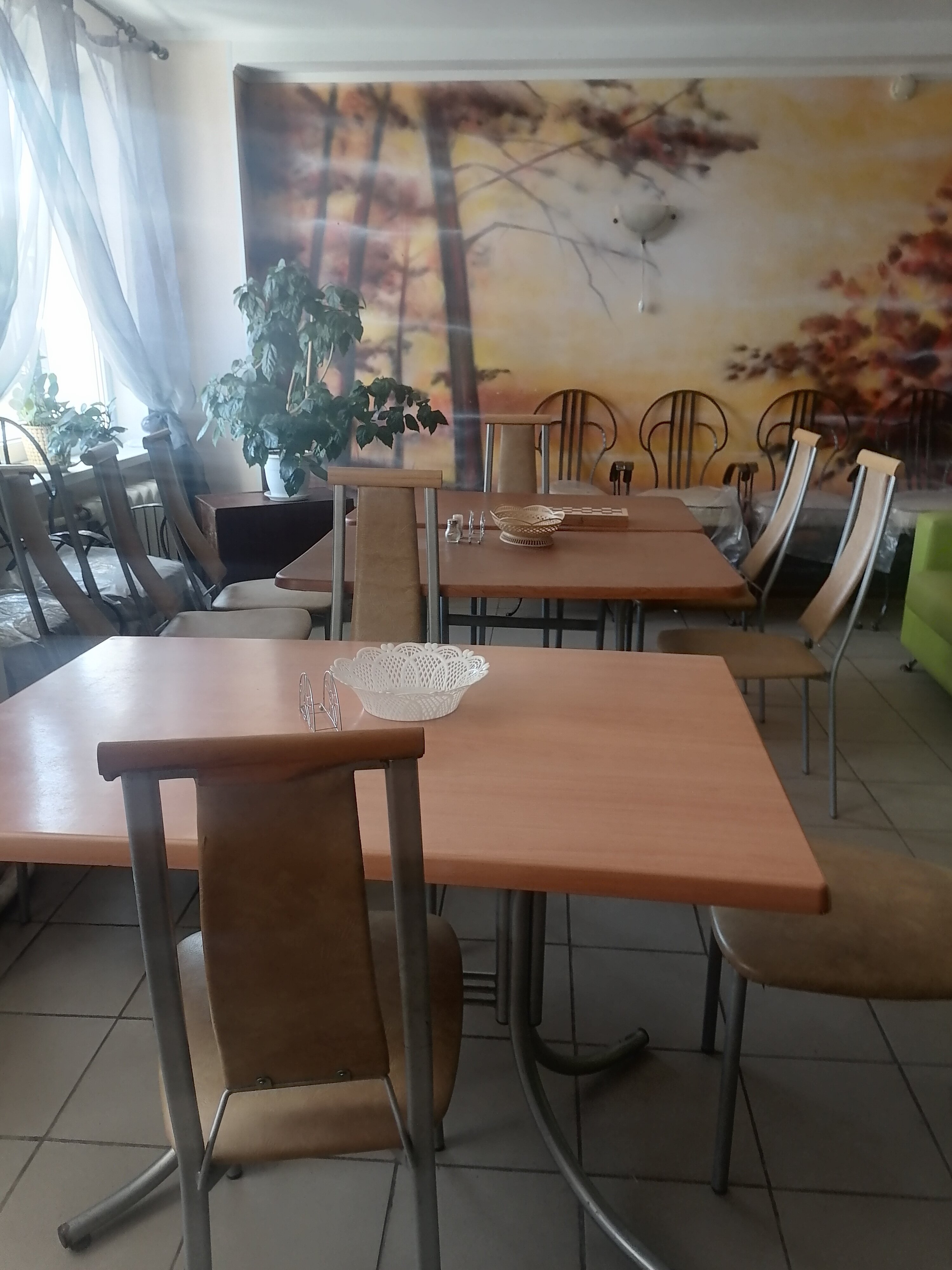 Фото Ковчег