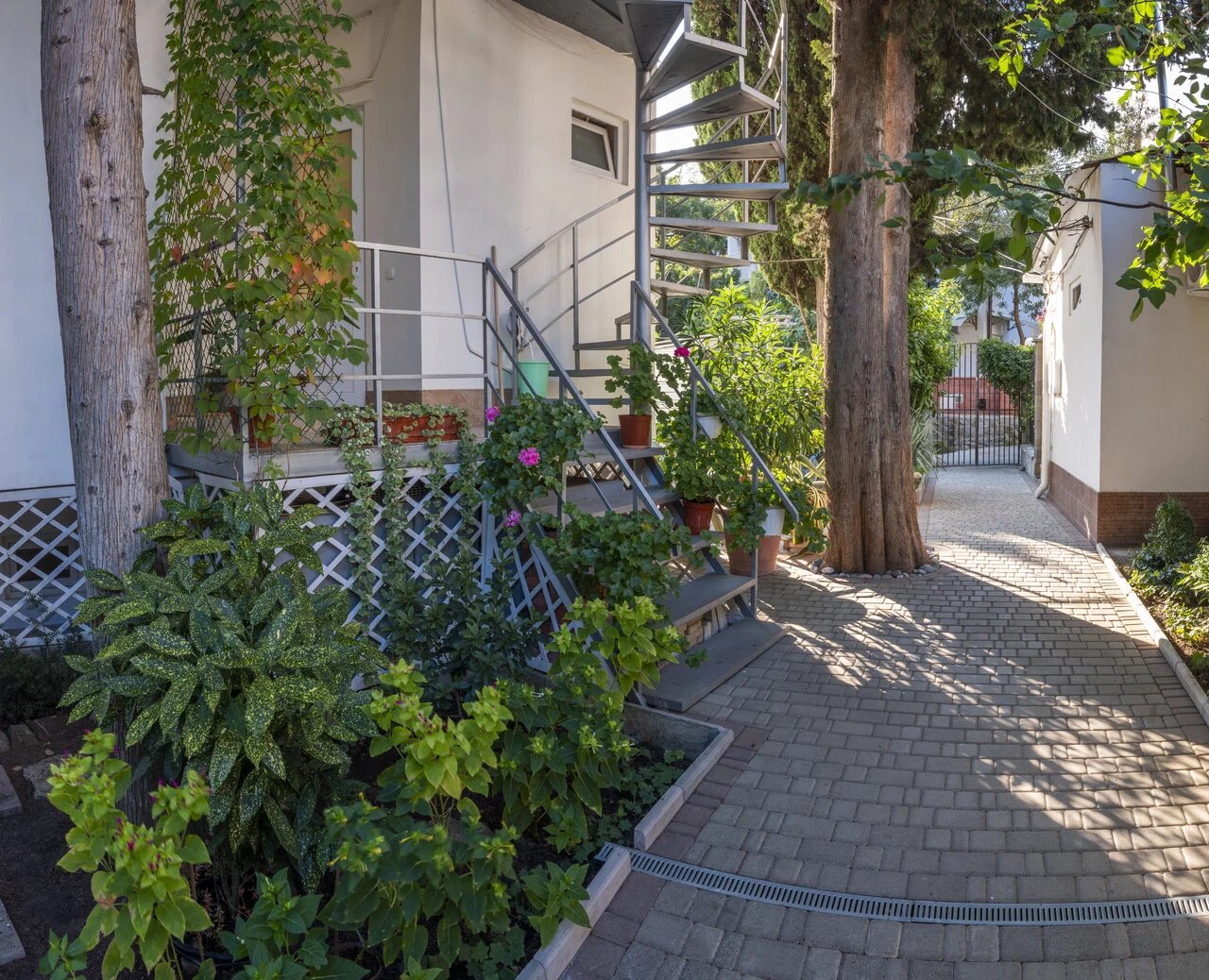 Фото Лаванда на Глазкрицкого