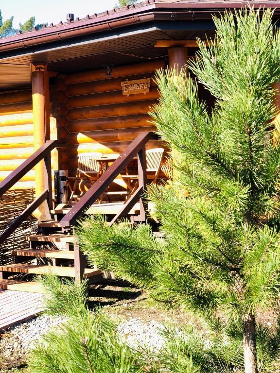 Фото Три медведя