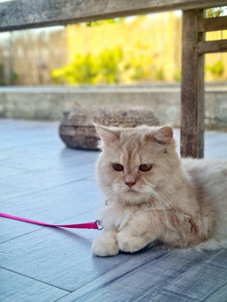 Фото 148 Guesthouse and Resort