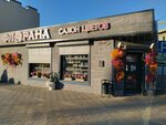 Florana (Orenburgskii Tract Street, 141) ، محل زهور