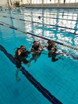 Ocean (Voroshilovskiy Avenue, 52/61к2), diving
