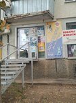Зоотовары (Tashkentskaya Street, 121), pet shop