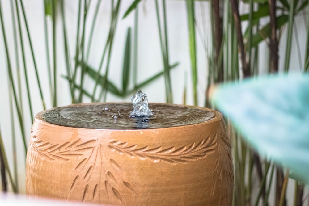 Фото Sunflower House