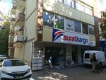 Ankara Ayas Foundation (Ankara Province, Cankaya District, Kızılay Mah., Menekşe 2. Cad., 18) ، صندوق عام