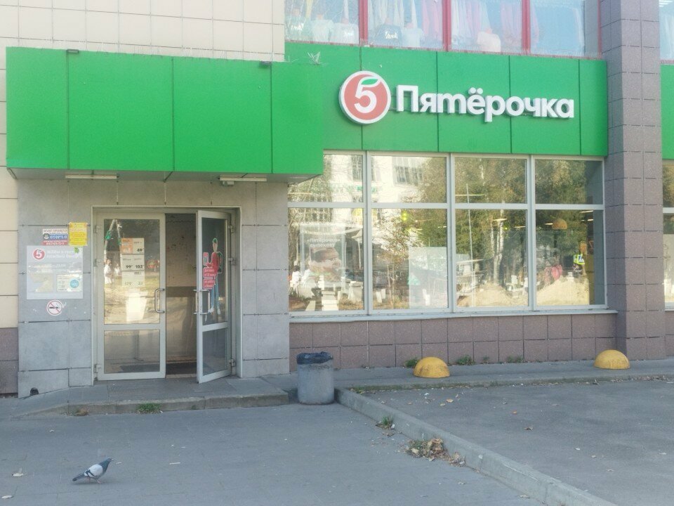 Мангуст ул полиграфистов 30 чехов фото