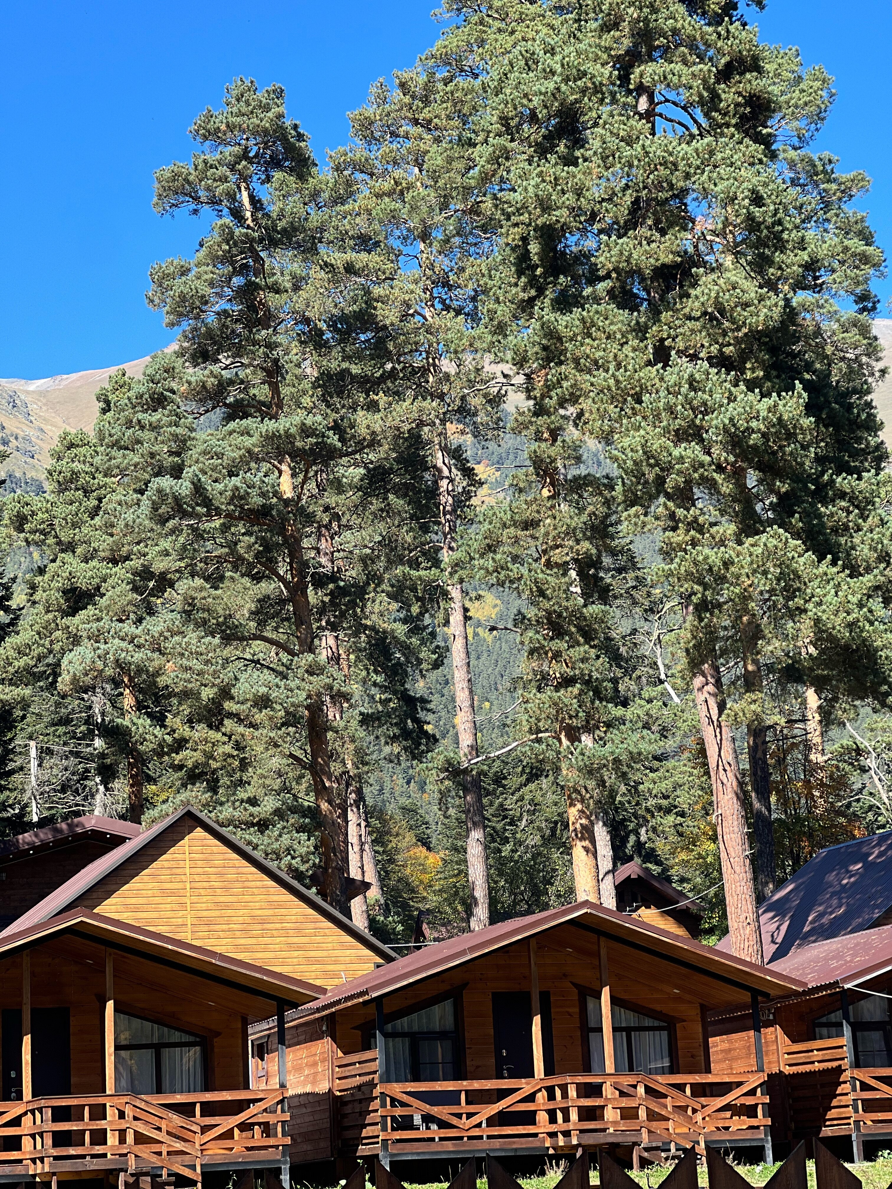 Фото Эверест