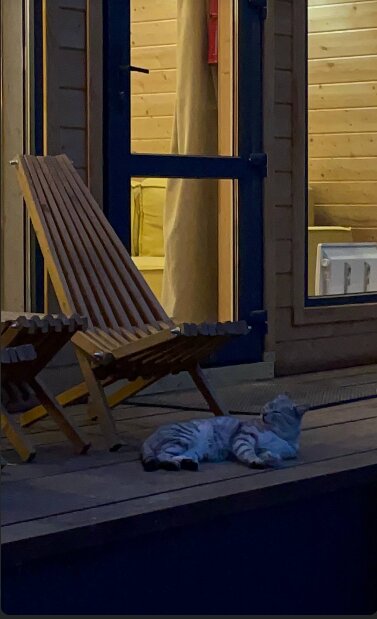 Фото Медвежий Угол