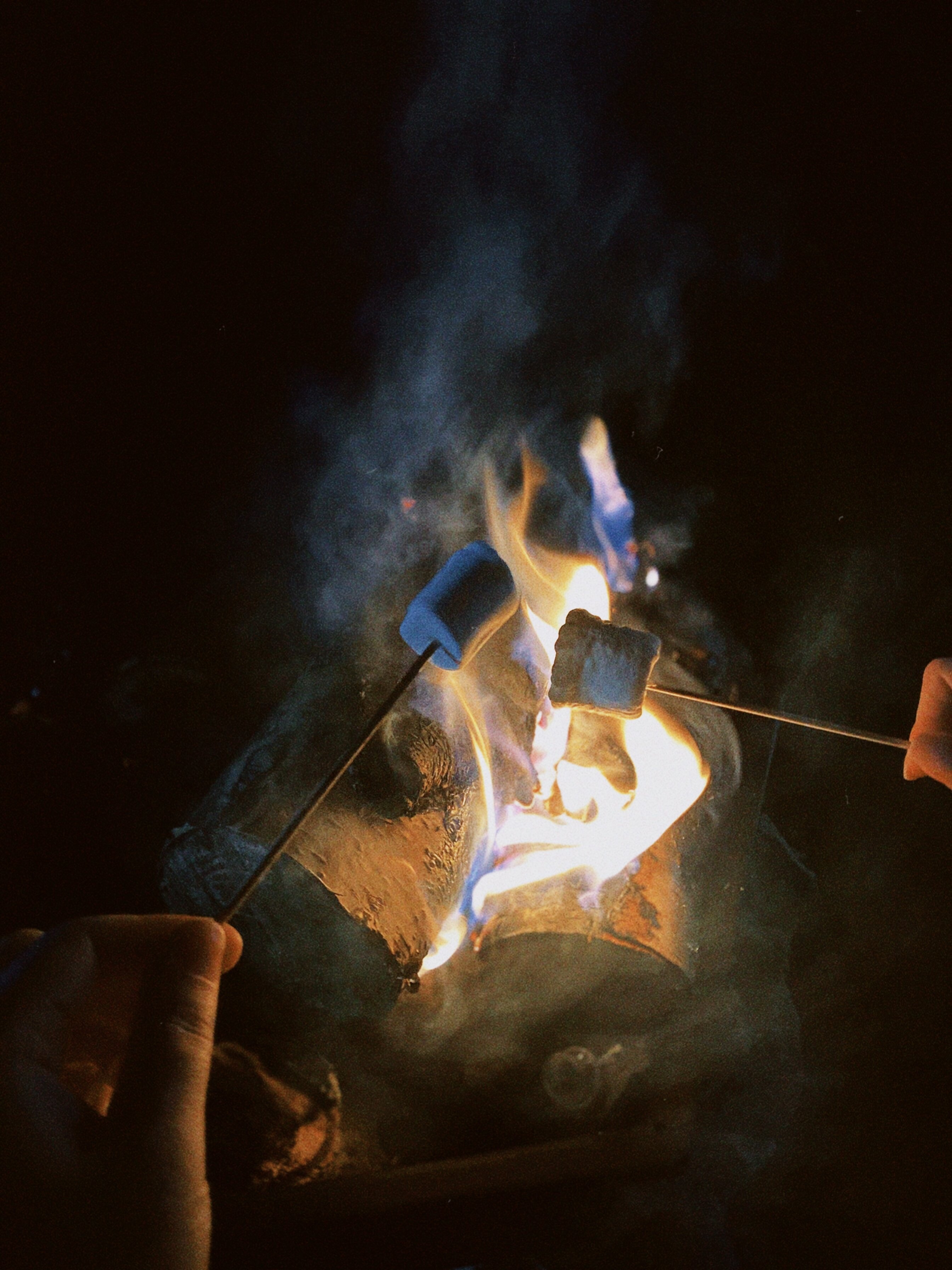 Фото Шепот Леса