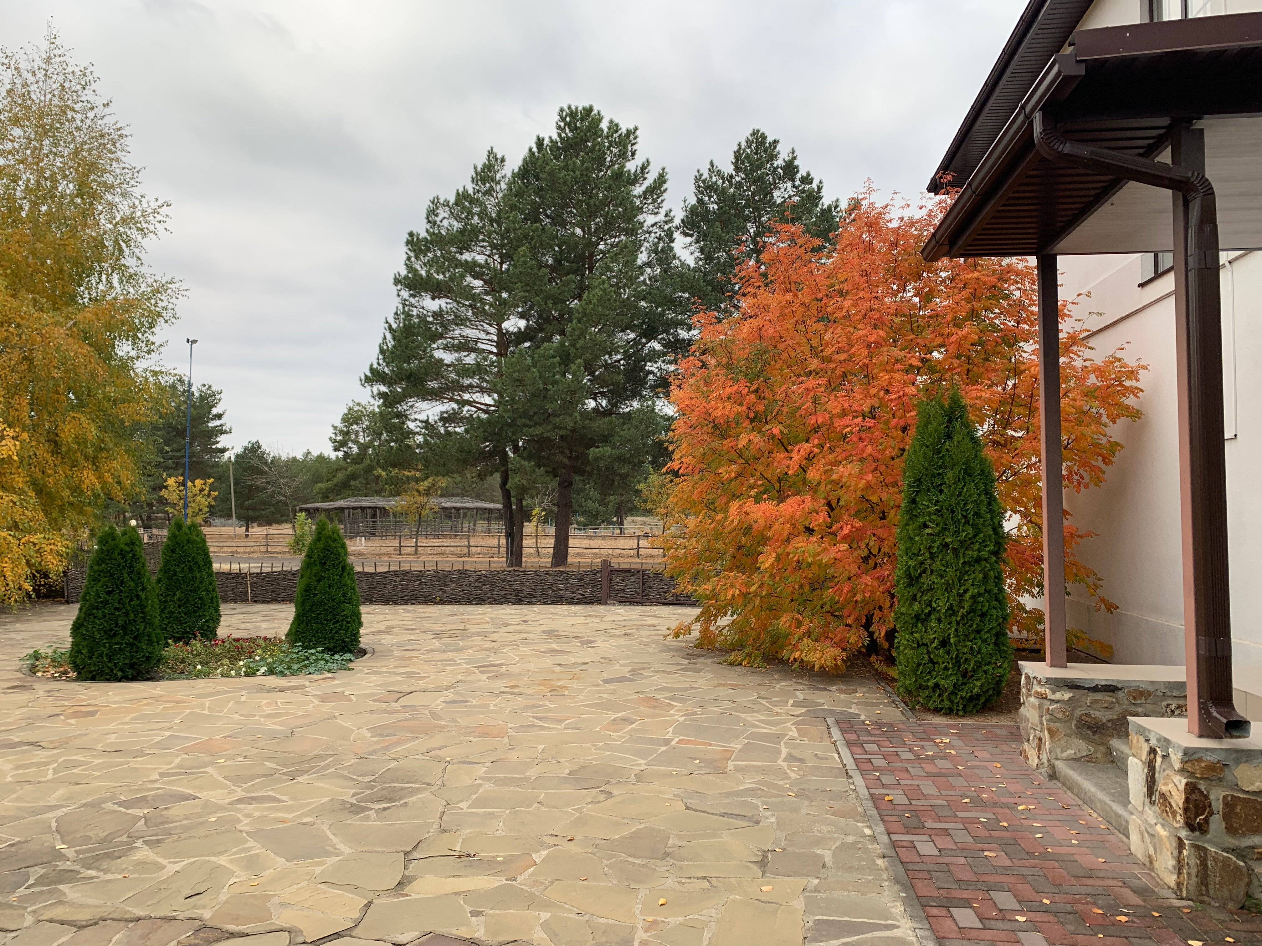 Фото Лесная