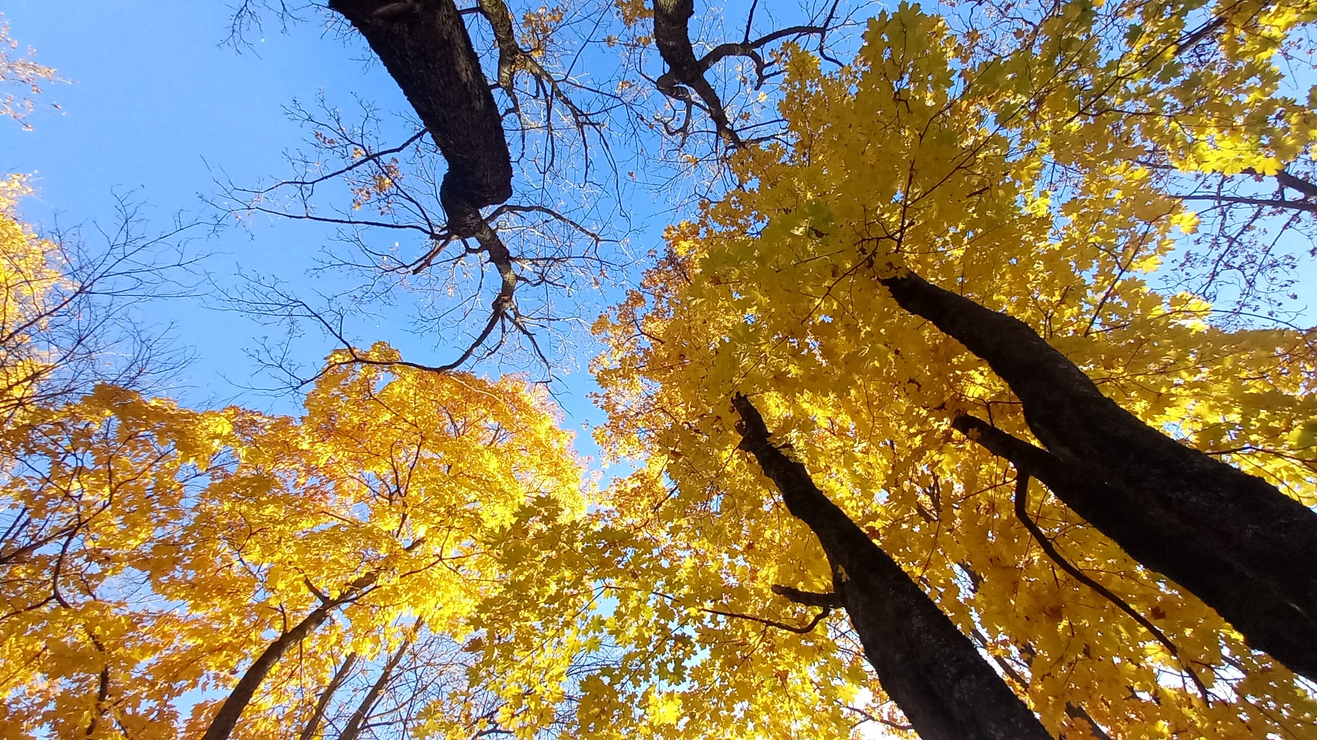 Фото Театральный