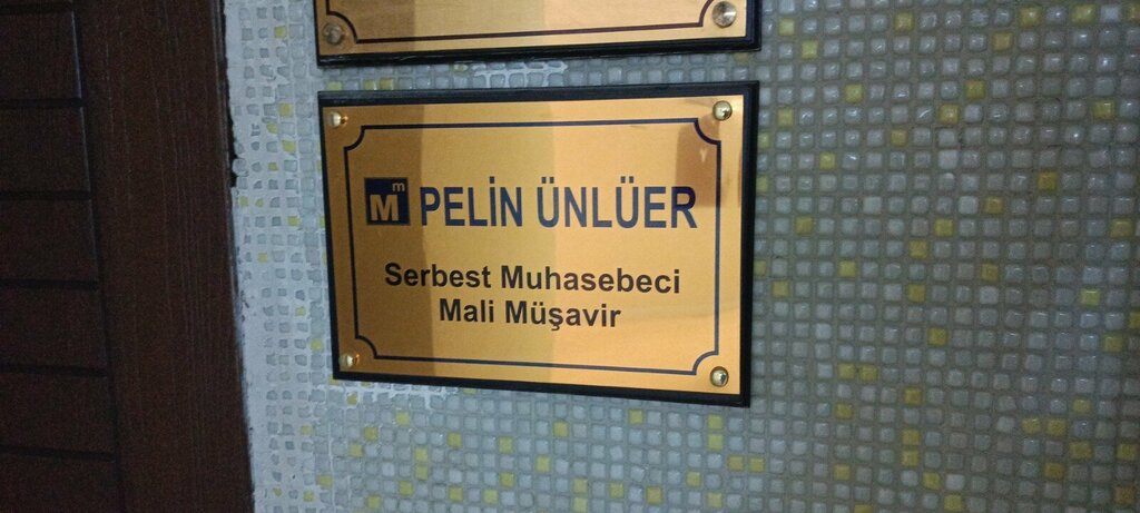 Tax consultants Smmm Pelin Unluer, Ankara, photo