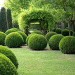 Твой Сад (2nd Krasnodarskaya Street, 135А), garden care