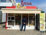 Gryadka (Lizyukov street, 50/3) ، متجر بيع خضر خضروات طازجة